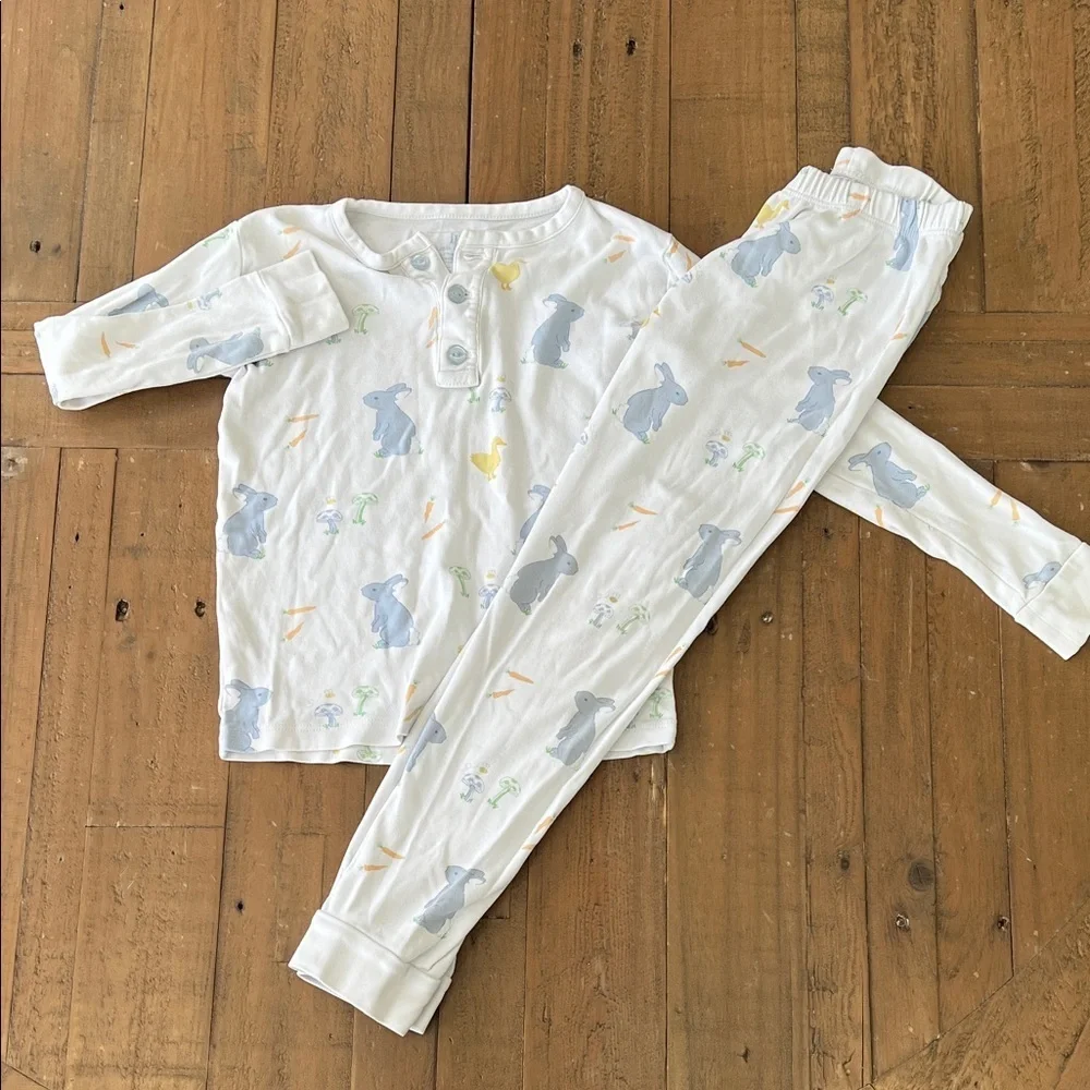 Little English Easter spring animal pajama set kids 6 bunny ducks long sleeve